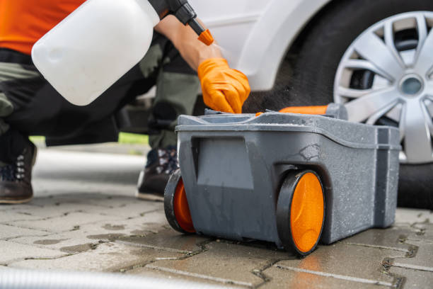 Best Organic Lawn Care Solutions  in Morongo Valley, CA